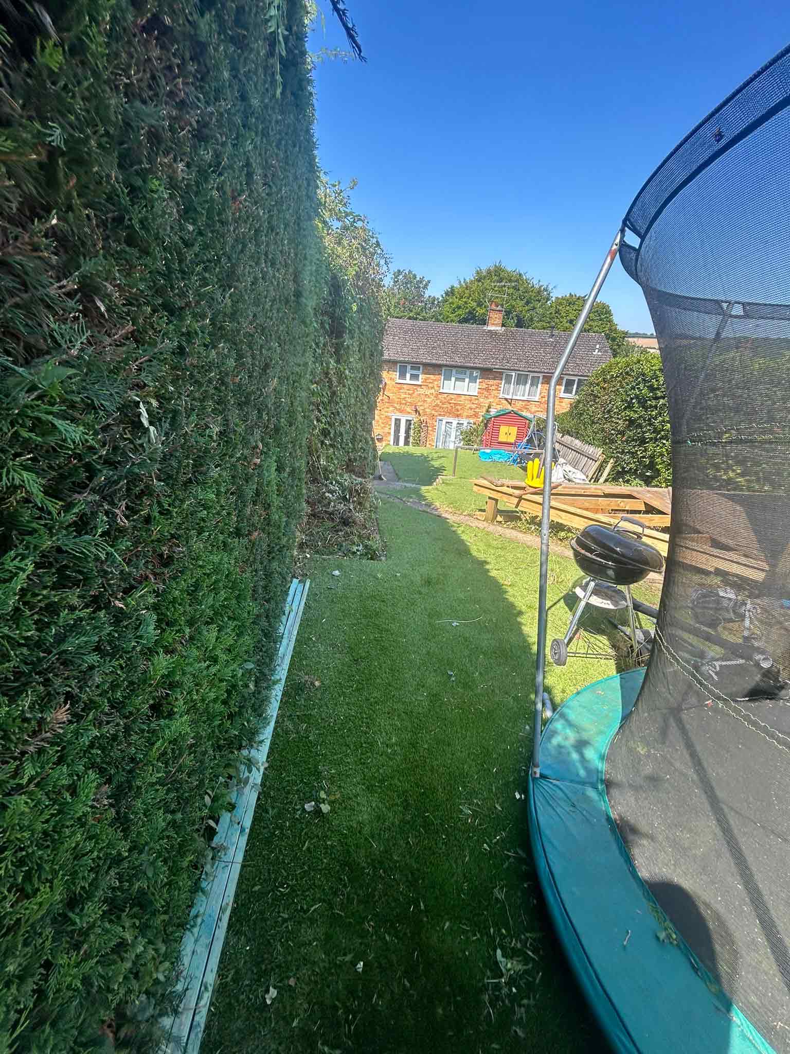 hedges hedge trimmed